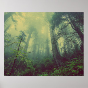 Misty Forest Poster