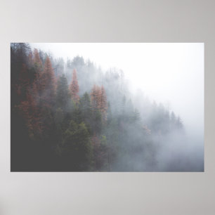 Misty Forest Poster