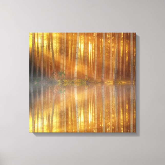 Misty Forest Scene Canvas Print (Front)