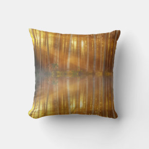 Misty Forest Scene Cushion
