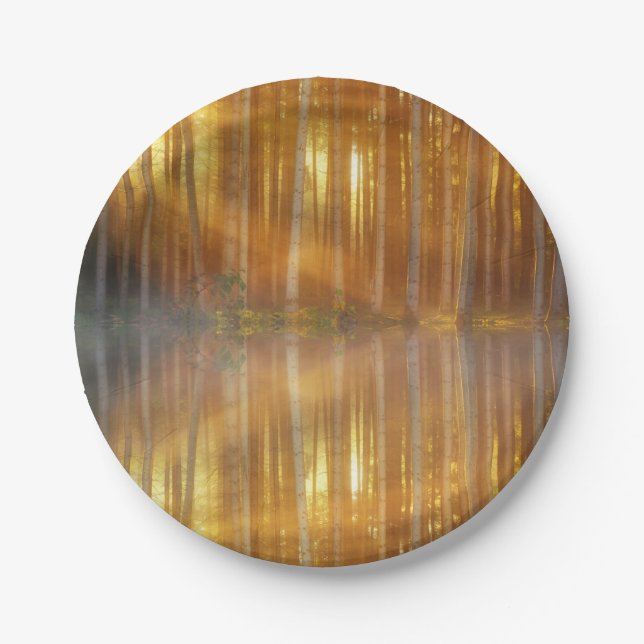 Misty Forest Scene Paper Plate (Front)