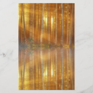 Misty Forest Scene Stationery