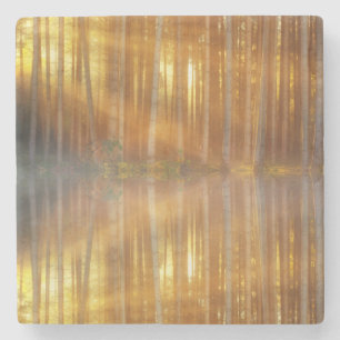 Misty Forest Scene Stone Coaster