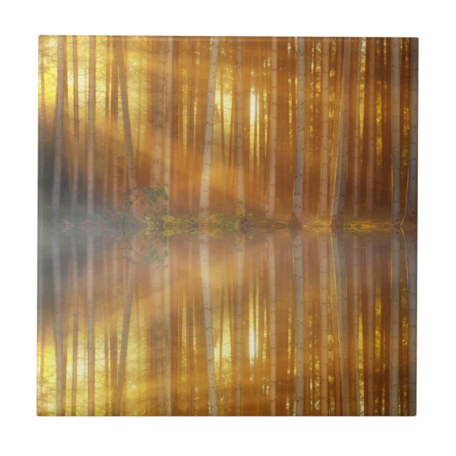 Misty Forest Scene Tile (Front)