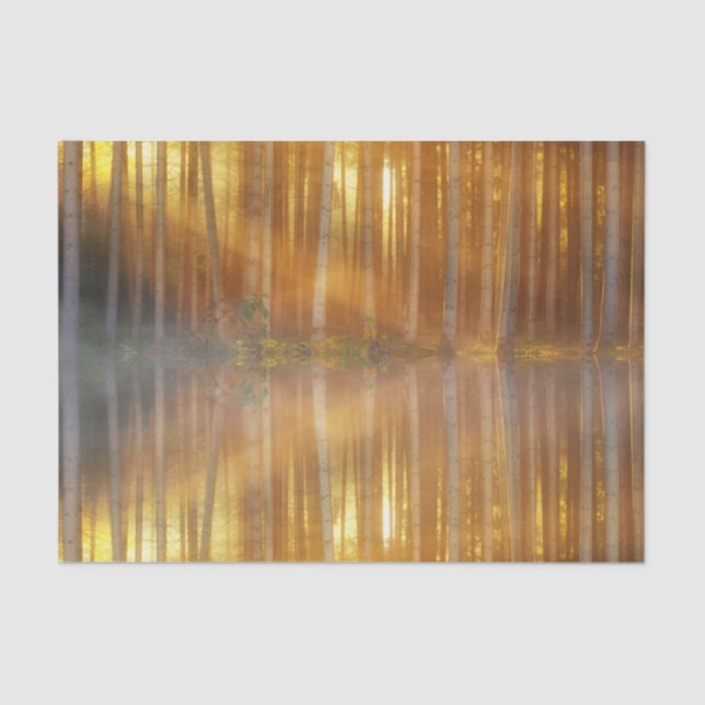 Misty Forest Scene Tissue Paper (Front)