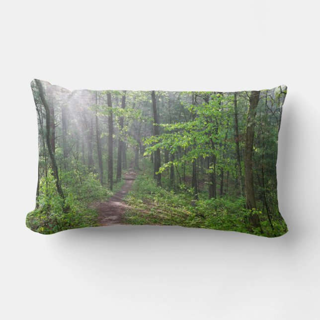 Misty Forest Trail at Castle Mound Lumbar Cushion (Front)