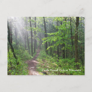 Misty Forest Trail at Castle Mound Postcard