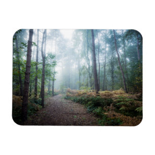 Misty Forest Walk Magnet