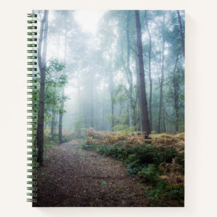 Misty Forest Walk Notebook