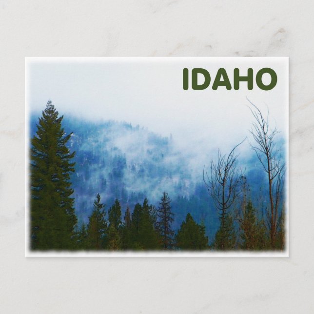 Misty Grey Postcard (Front)