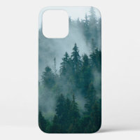 Misty landscape with fir forest in hipster vintage