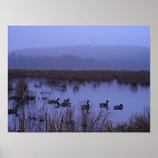 Misty Marsh Photographer Poster (Front)
