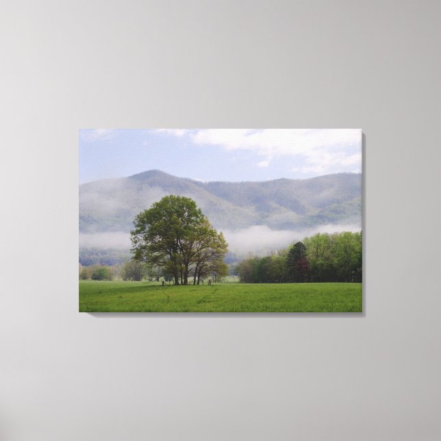 Misty meadow and Rich Mountain, Cades Cove, Canvas Print (Front)
