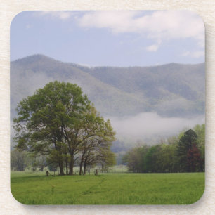 Misty meadow and Rich Mountain, Cades Cove, Coaster