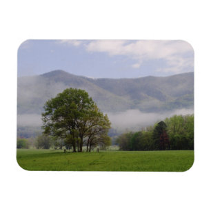 Misty meadow and Rich Mountain, Cades Cove, Magnet