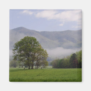 Misty meadow and Rich Mountain, Cades Cove, Magnet