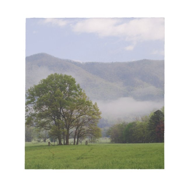 Misty meadow and Rich Mountain, Cades Cove, Notepad (Front)