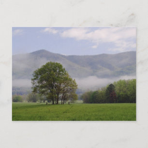 Misty meadow and Rich Mountain, Cades Cove, Postcard
