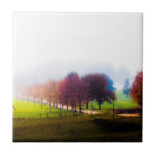 Misty meadow in autumn tile