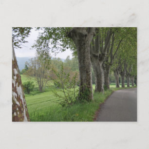 Misty morning in Provence Postcard