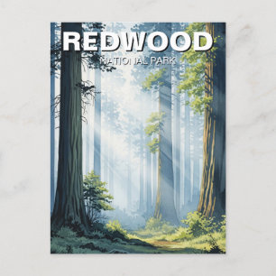 Misty Morning in Redwood National Park Postcard