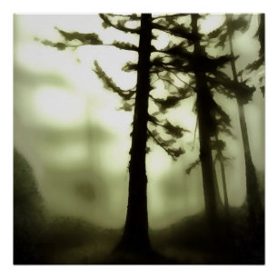 Misty Morning Monotone Forest Landscape Art Poster