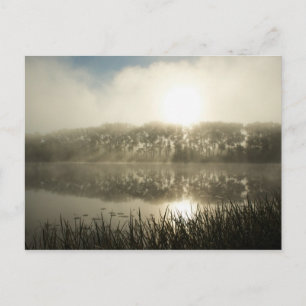 Misty morning - Post card