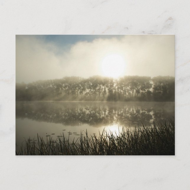 Misty morning - Post card (Front)