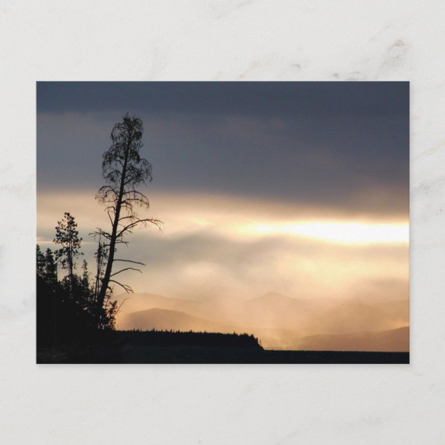 Misty morning sunrise postcard (Front)
