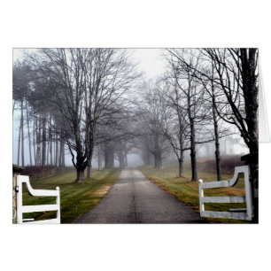 Misty Morning Welcome