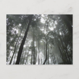 Misty Mountains postcard