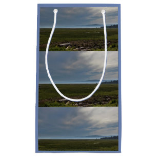 Misty Mountains Small Gift Bag