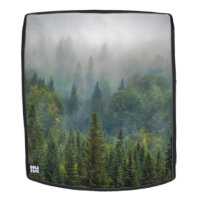 Misty pine trees forest landscape