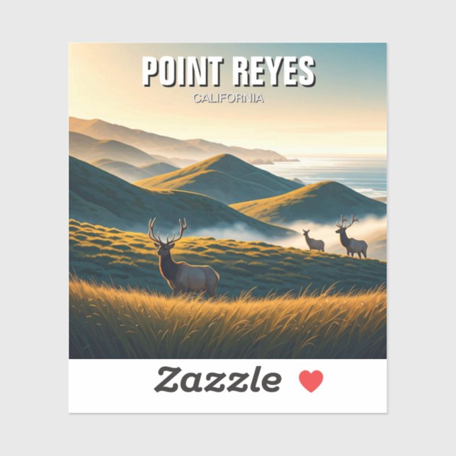 Misty Point Reyes National Seashore Elk (Sheet)