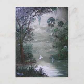 Misty River with Moss Postcard