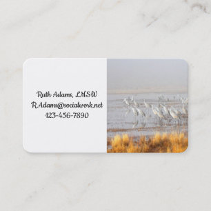 Misty Sandhill Cranes Business Card