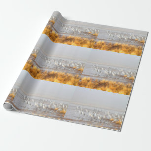 Misty Sandhill Cranes Wrapping Paper