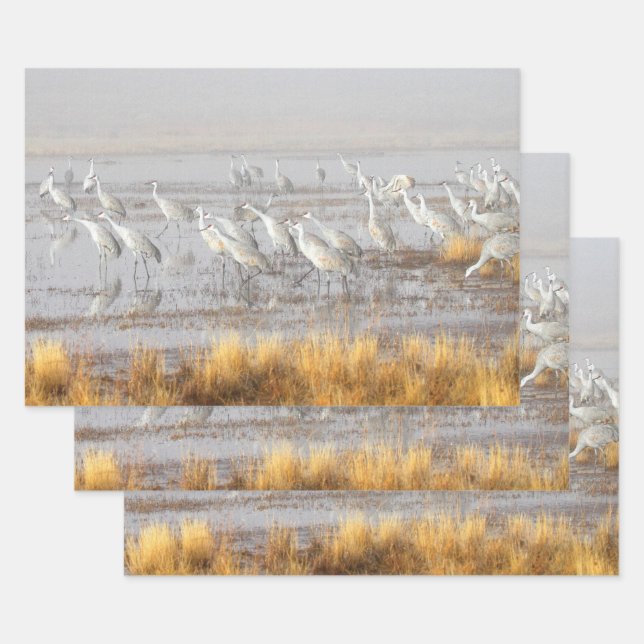 Misty Sandhill Cranes Wrapping Paper Sheet (Set)
