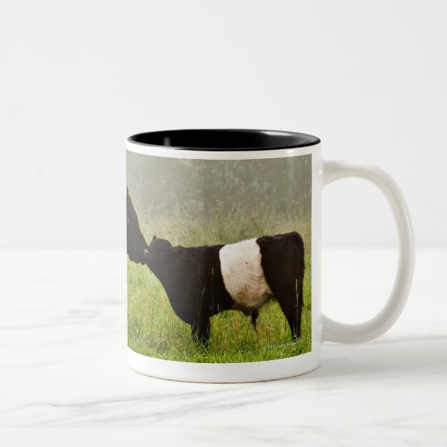 Misty scene of belted galloway cow mothering her Two-Tone coffee mug (Right)