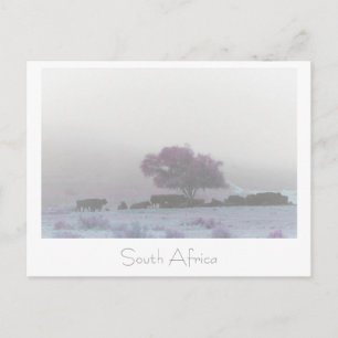 Misty South Africa Rural Landscape SA Postcard