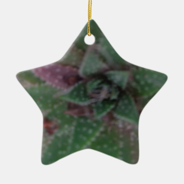 Misty Succulent, Green Purple, Nature, Flora Plant Ceramic Tree Decoration (Front)