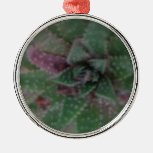 Misty Succulent, Green Purple, Nature, Flora Plant Metal Tree Decoration (Front)