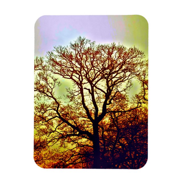 MISTY SUN TREES MAGNET (Vertical)