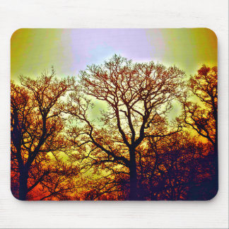 MISTY SUN TREES MOUSE PAD
