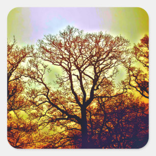 MISTY SUN TREES SQUARE STICKER