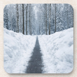 Misty Winter Forest Path Winter Landscape Coaster