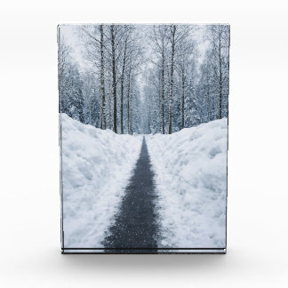 Misty Winter Forest Path Winter Landscape Poster Photo Block