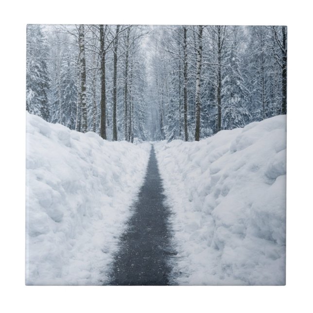 Misty Winter Forest Path Winter Landscape Tile (Front)