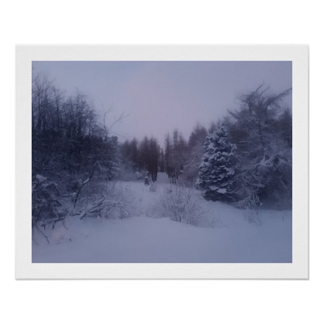 Misty woods poster (Front)