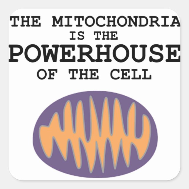 Mitochondria is The Powerhouse - Sticker (Front)